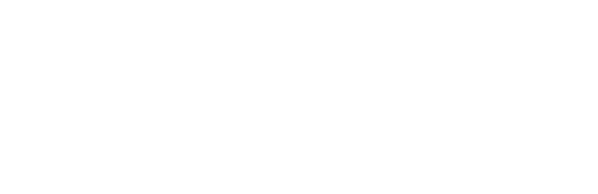 BR.A.VE _ Logosoloscritta